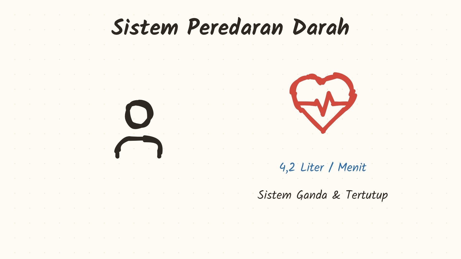 Sistem Peredaran Darah Manusia