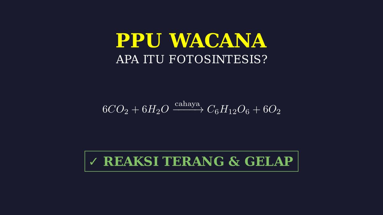 Fotosintesis: Proses dan Tahapan