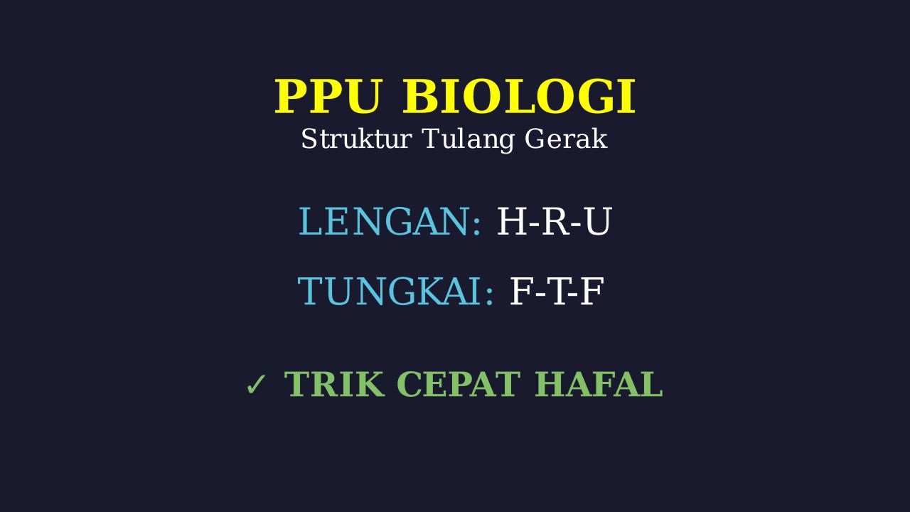Hafal Struktur Tulang Tangan dan Kaki
