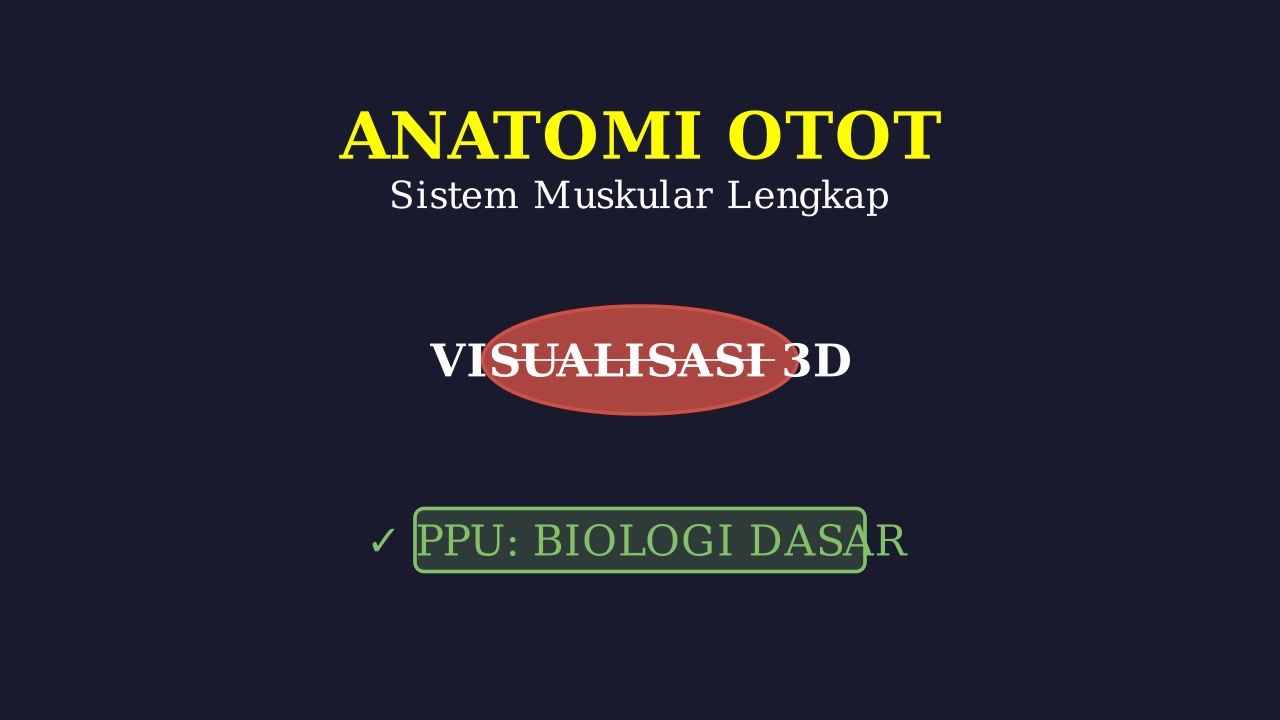 Anatomi Lengkap Sistem Otot Manusia 3D