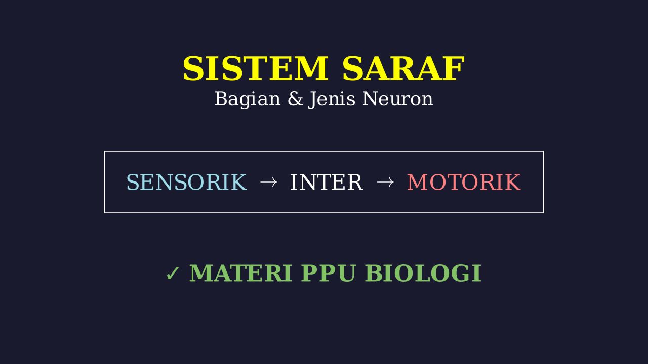 Struktur dan Jenis-Jenis Neuron