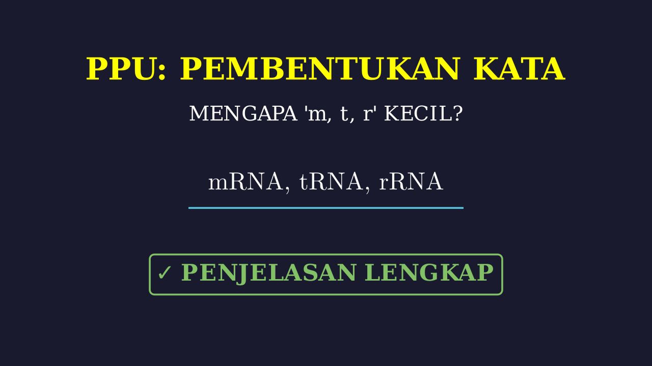 mRNA, tRNA, & rRNA: Fungsi dan Aturan Penulisan