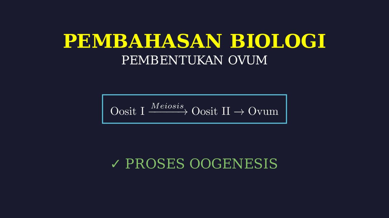 Oogenesis: Pembentukan Ovum