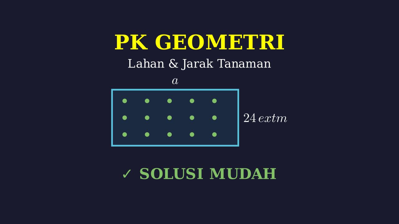 Soal Cerita: Jarak Tanam Jagung