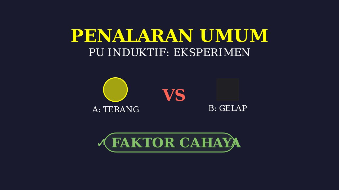 Eksperimen: Pengaruh Cahaya Matahari Pada Tanaman