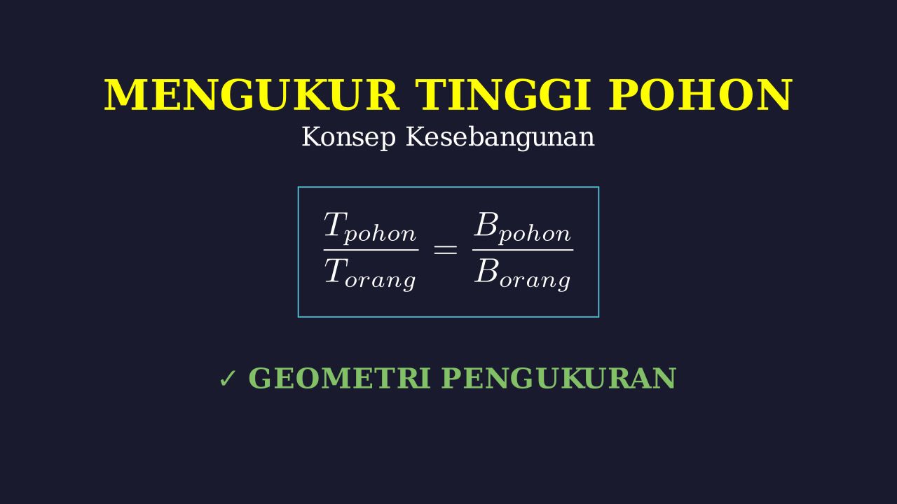 Mengukur Tinggi Pohon: Kesebangunan