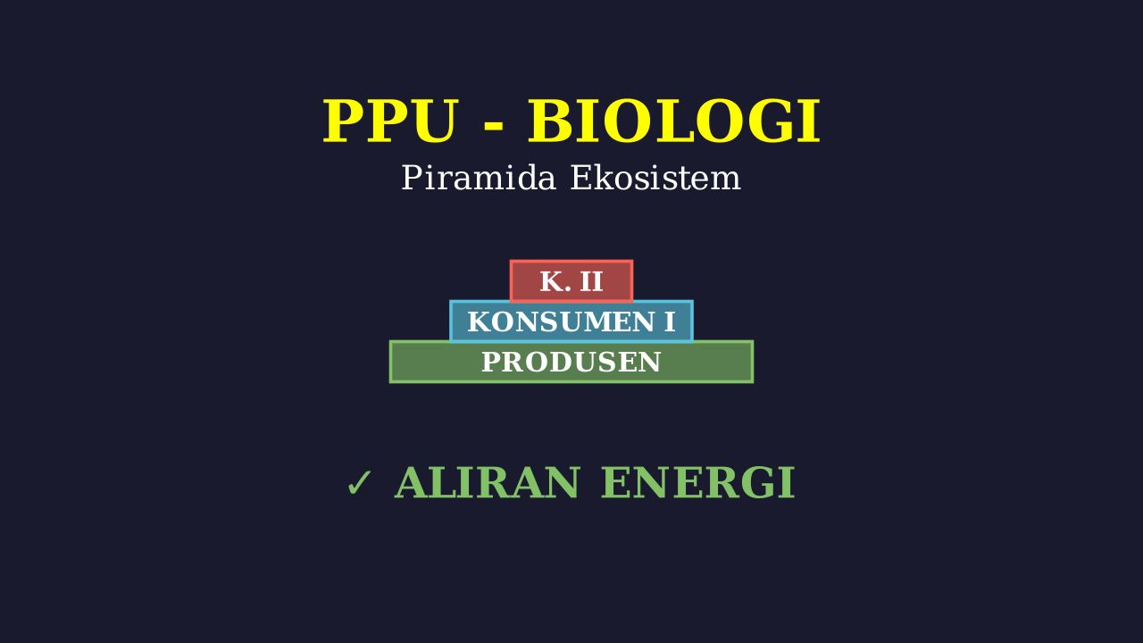 Piramida Makanan: Struktur & Contoh