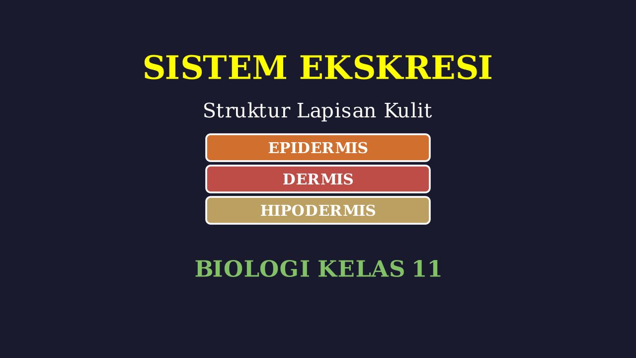 Struktur Lapisan Kulit: Sistem Ekskresi