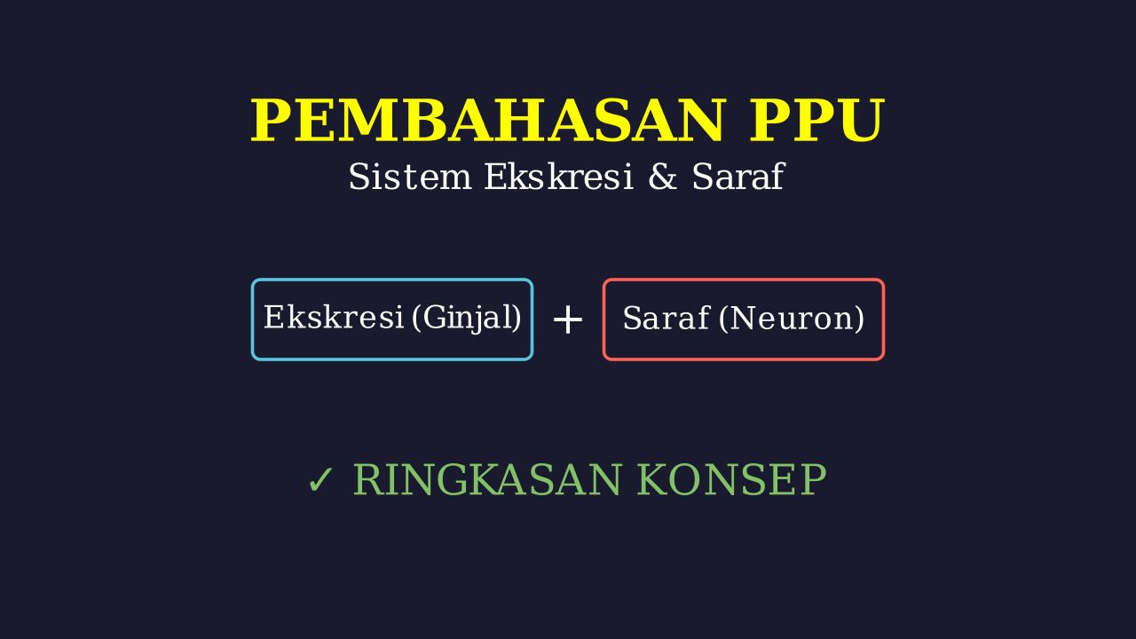 Sistem Ekskresi & Sistem Saraf
