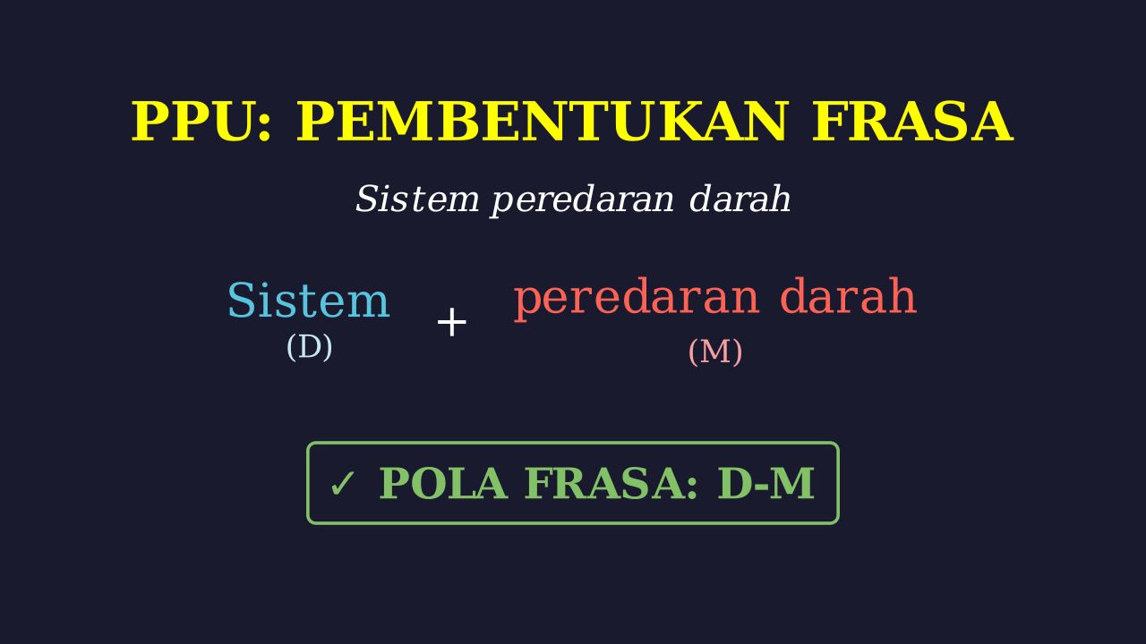 Sistem Peredaran Darah Manusia