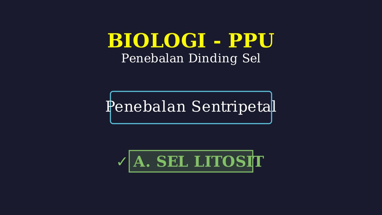 Sel Litosit: Penebalan Sentrypetal