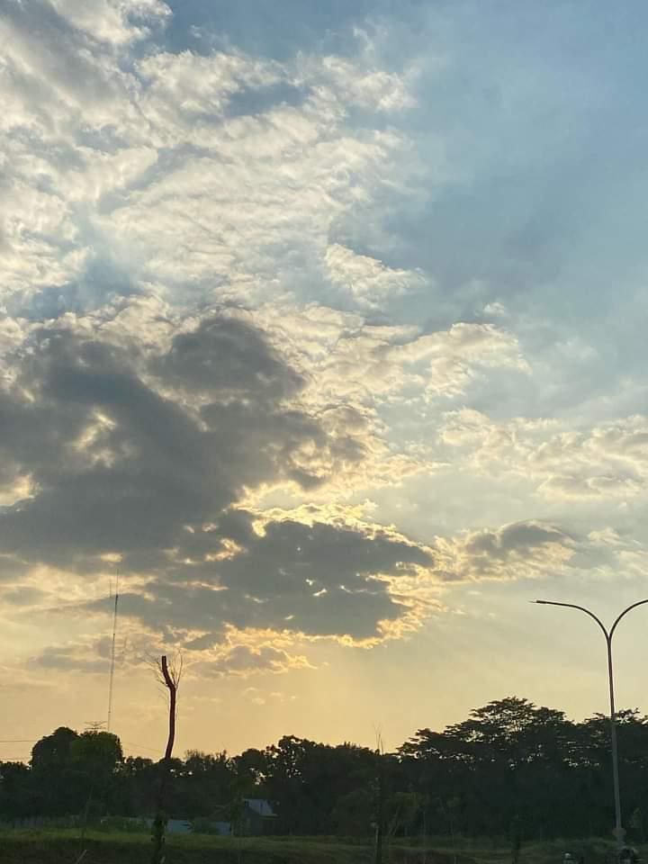 Meyla Rasikha Yafa