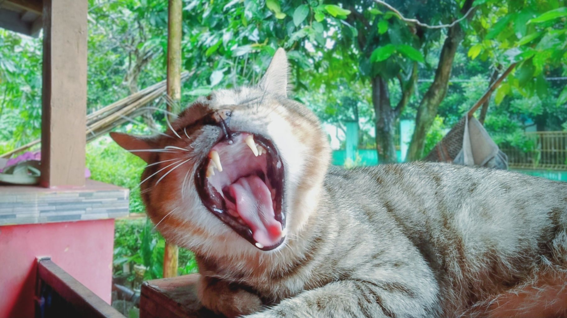 Nur Afni Herawati 
