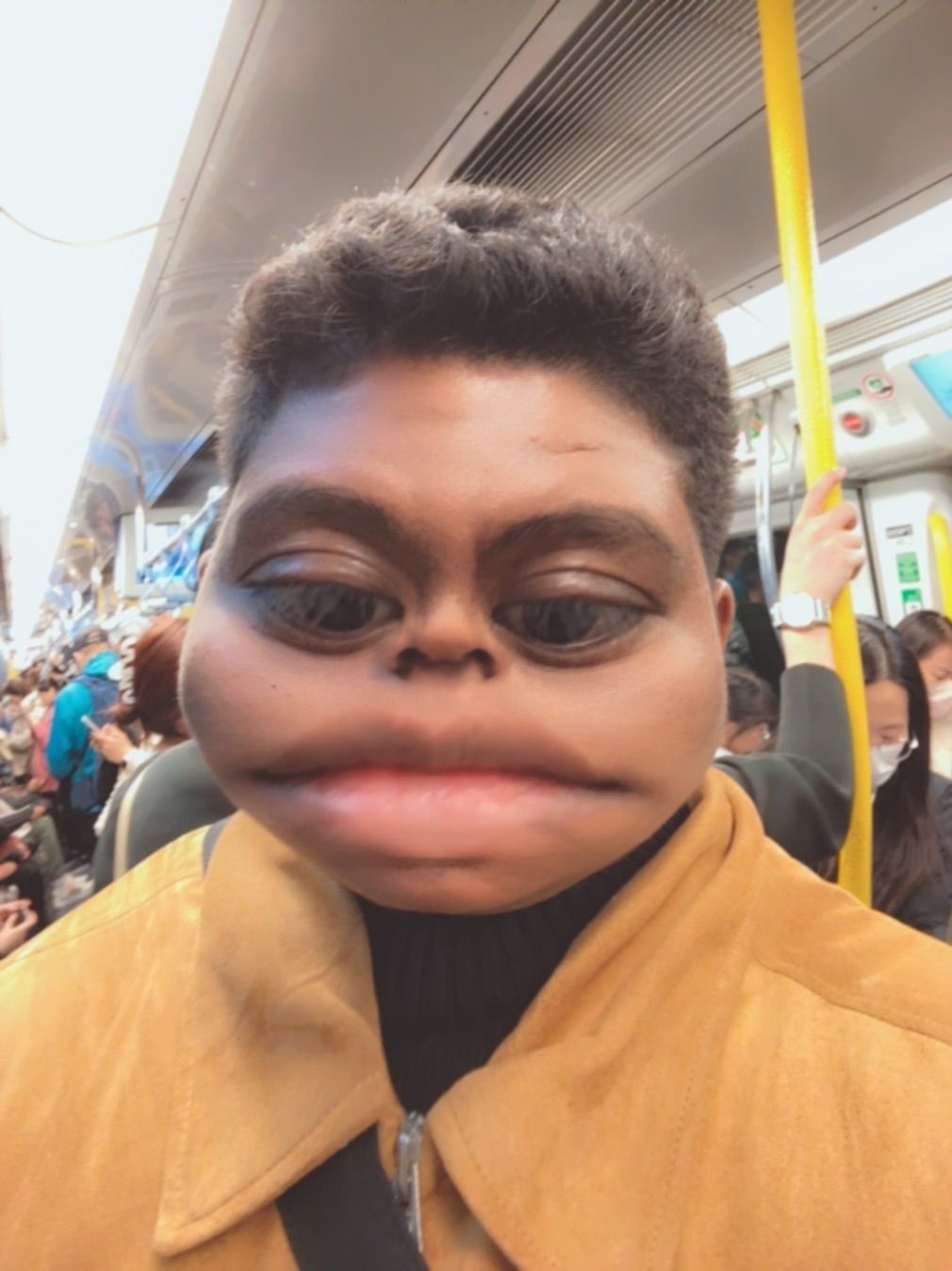 Pacekrisa