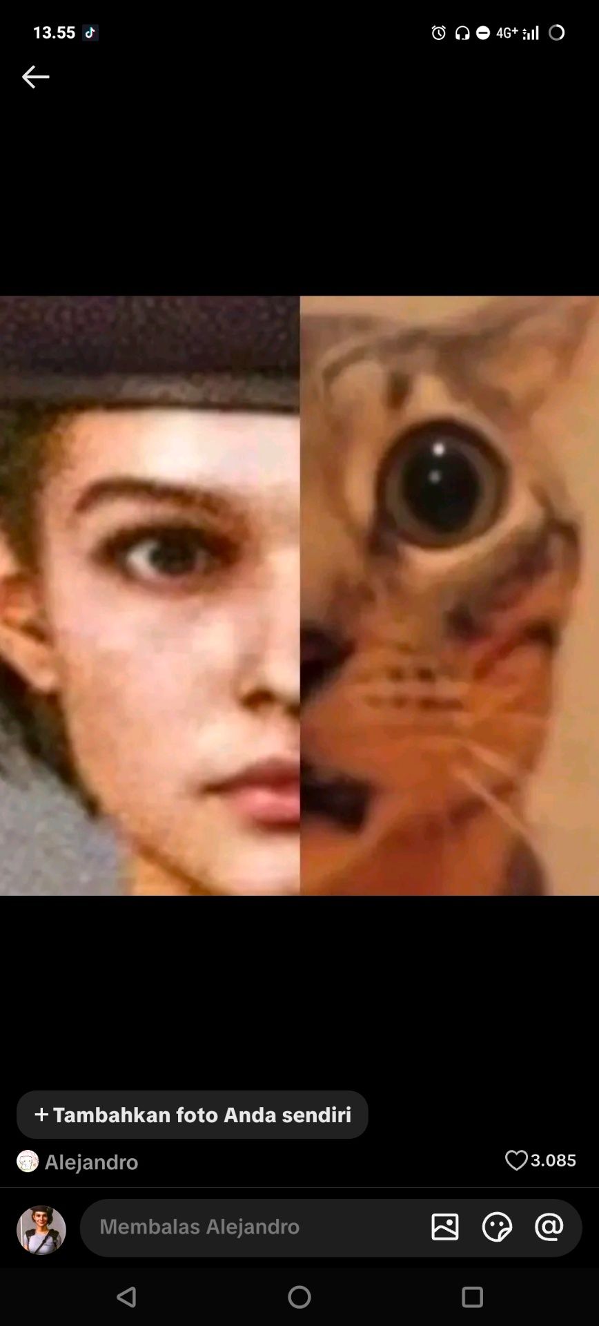 sonnn