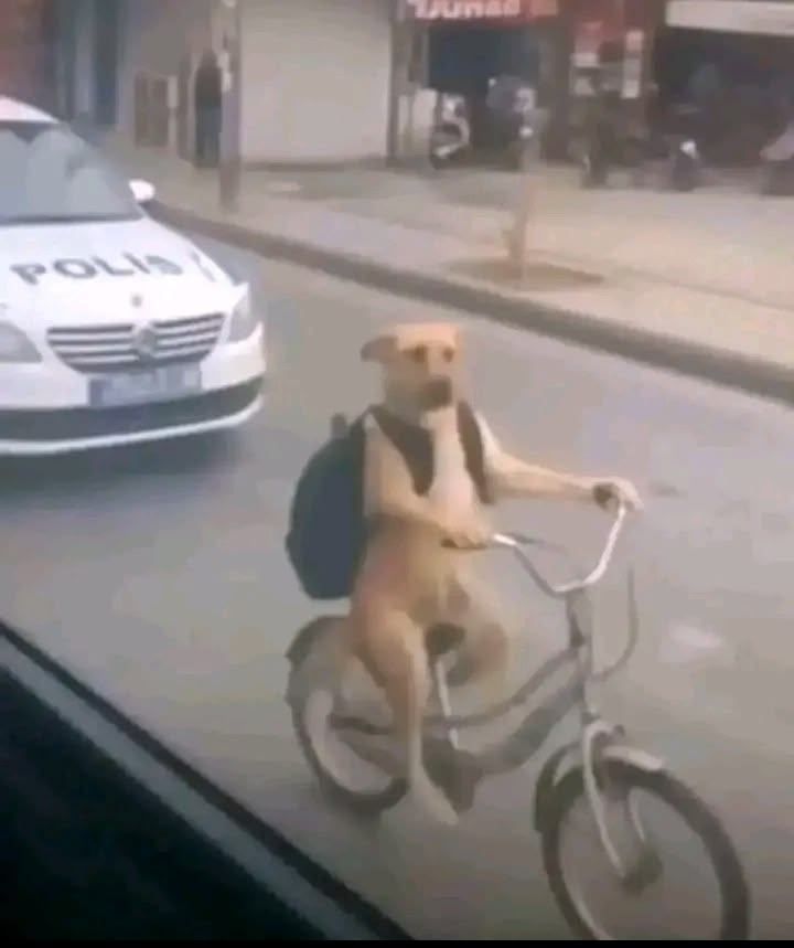 gamin otw ui