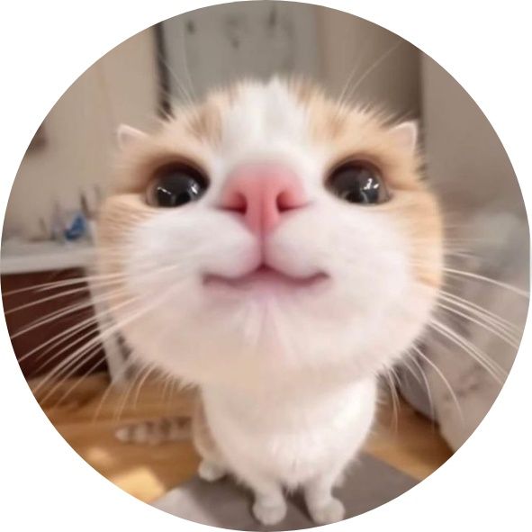 wshdhwgwgwygdywdg