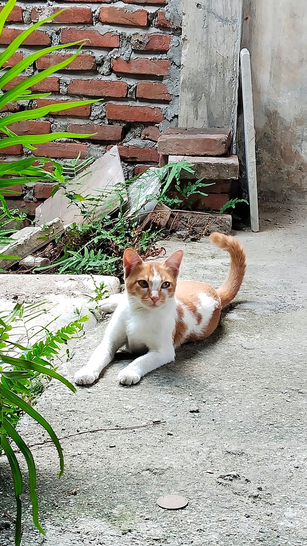 zaskia
