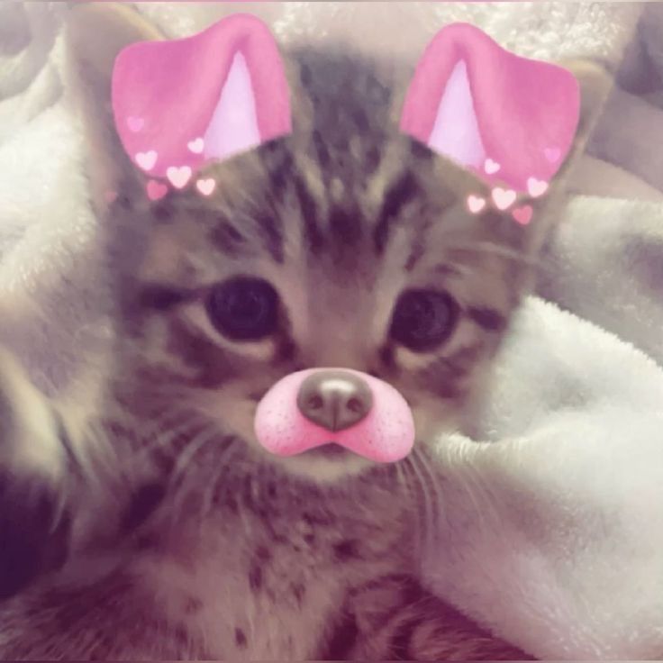 keii