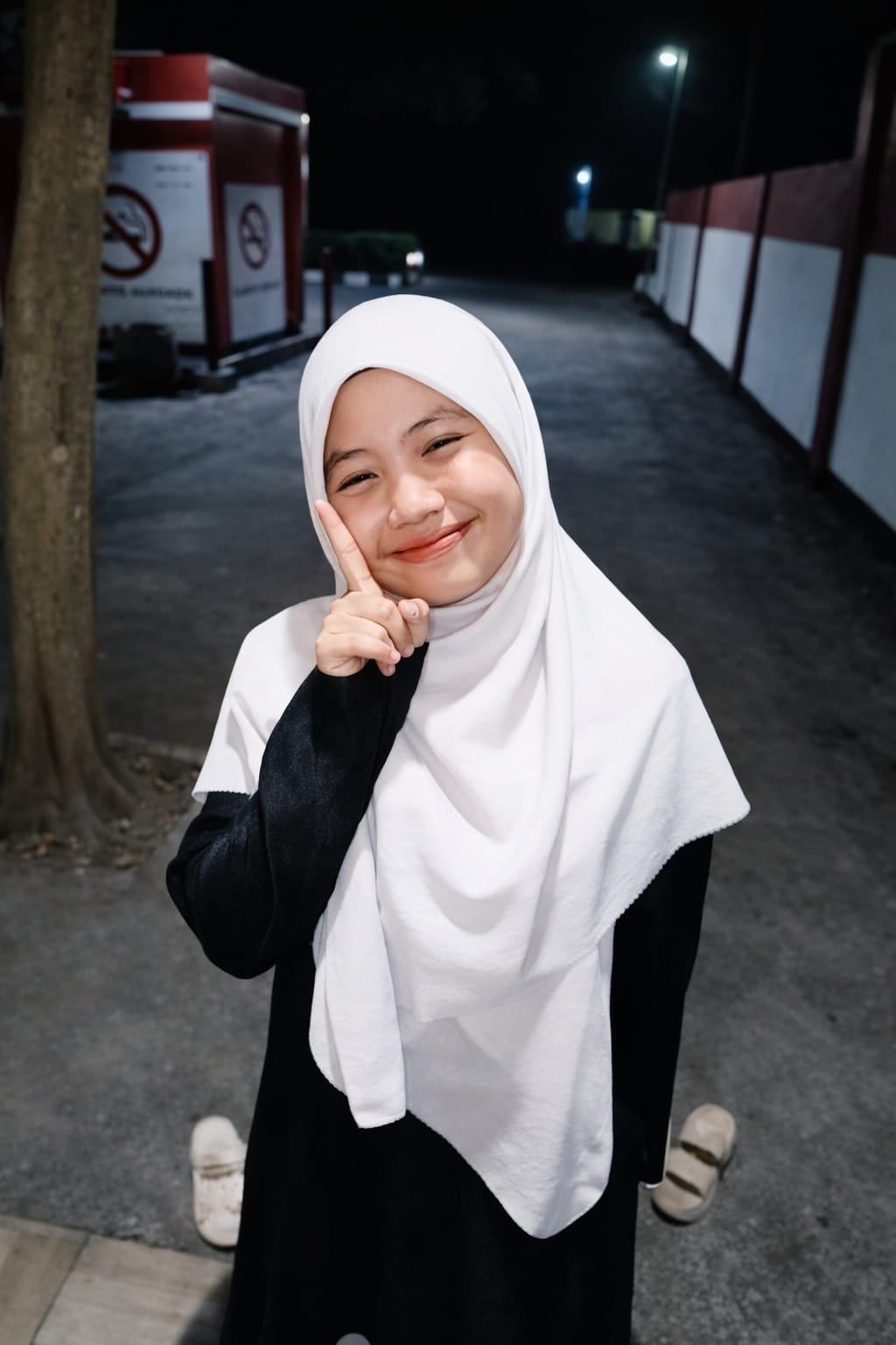 Nisvi